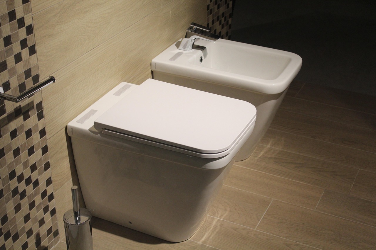 Common Problems with Toilet Flush Valves and How to Fix Them