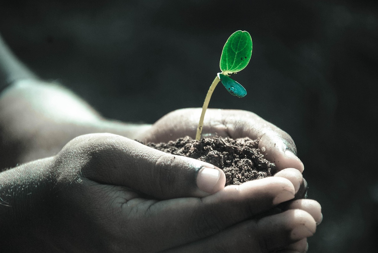 Hands, macro, plant — Sex and Relationship Coach Kim Anami Reveals How Every Woman Can Have a ‘Salacious Sex Drive’