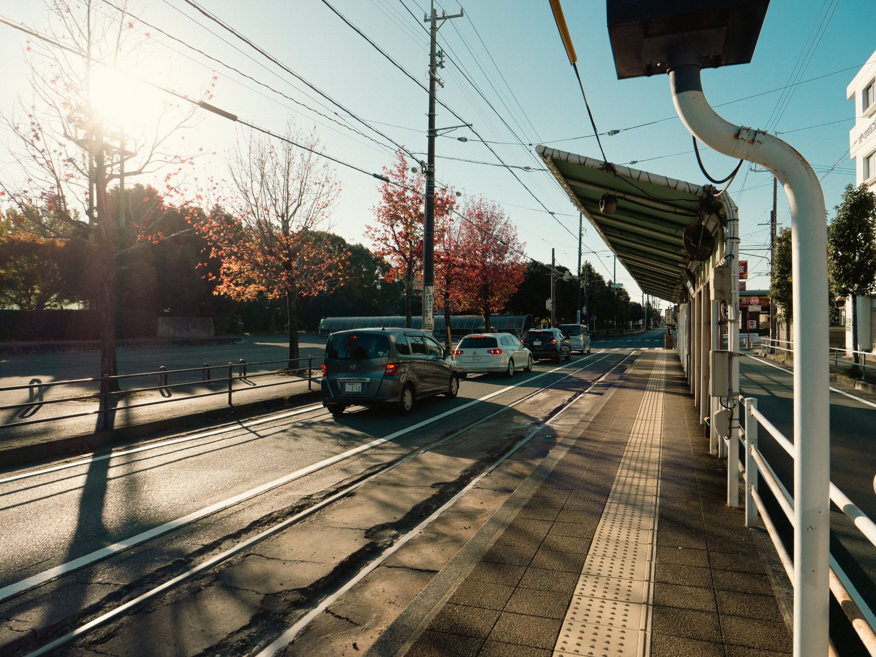 CAR T platform