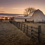 Michigan cow farm