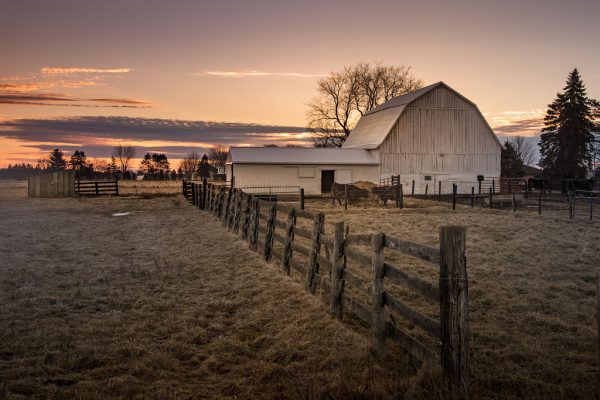 Michigan cow farm: The Best Historic Homes Built by GM Execs