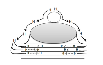 hydrogen storage capacity